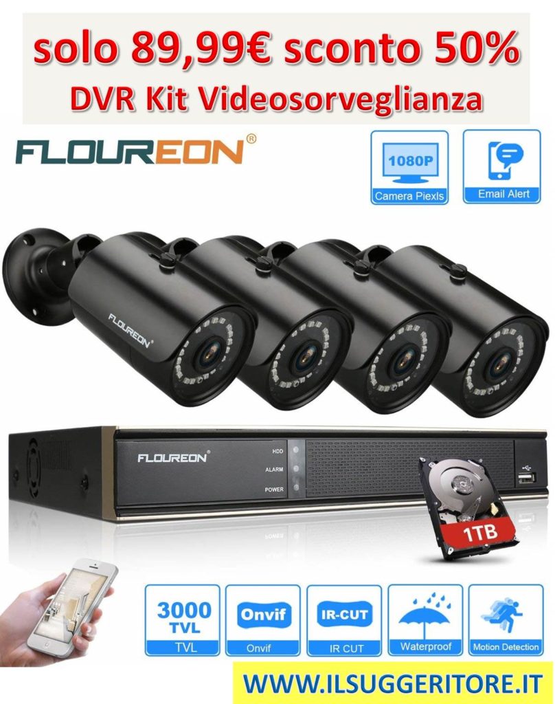 FLOUREON, 3000TVL DVR Kit Videosorveglianza, Sistemi Videocamera, (3000TVL Gold)